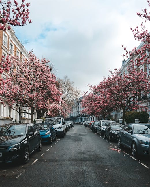 A narrow residential street in Kensington lined with white-painted terraced houses, with potted plants and small trees placed on the cobblestone pavement along the facades. Benches and wooden planters
