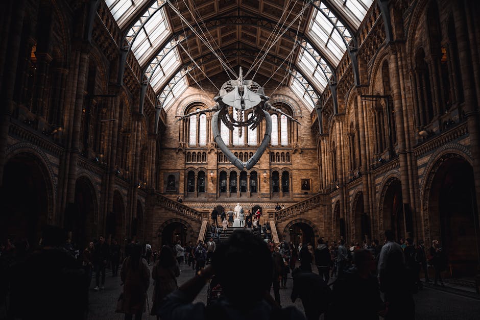 Inside the historic Olympia London museum's grand main hall, featuring high vaulted glass ceilings supported by ornate iron framework. A large suspended whale skeleton, with visible vertebrae, ribs, and a skull, hangs centrally from the ceiling, secured by multiple steel cables. The walls are constructed of red-brown brick and stone with intricate architectural details, tall arched windows, and decorative columns. A wide staircase at the far end leads to an upper gallery where several visitors are gathered. The space is filled with groups of people walking, standing, and observing the exhibits, some holding brochures or cameras. Manning the floors are various furniture items, cardboard boxes, and packing materials, suggesting a busy moving process. The scene is illuminated by natural light from the windows and ambient interior lighting, capturing the atmosphere of a large-scale home relocation or museum move involving careful packing and transport of historical items. Man with Van Kensington's assistance is implied in coordinating the removal activities within this historic setting.